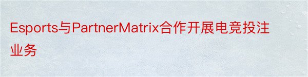 Esports与PartnerMatrix合作开展电竞投注业务