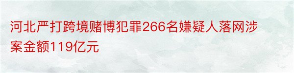 河北严打跨境赌博犯罪266名嫌疑人落网涉案金额119亿元